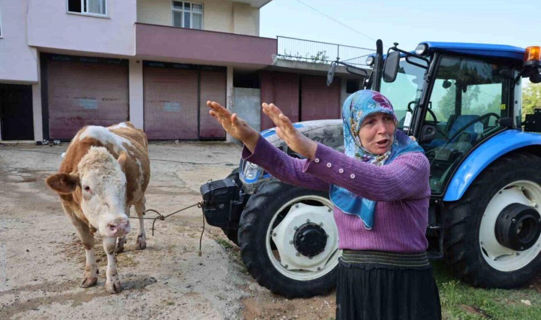 Adana’nın Kozan ilçesinde sağanak yağış sonrası meydana gelen sel felaketinde