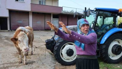 Adana’nın Kozan ilçesinde sağanak yağış sonrası meydana gelen sel felaketinde