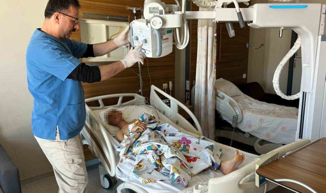 Van’ın Saray ilçesinde sahipsiz sokak köpeklerinin saldırısında yaralanarak tedavi altına