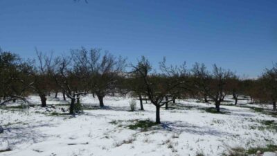 Malatya’nın Akçadağ ilçesinde etkili olan kar yağışı üreticileri tedirgin etti.