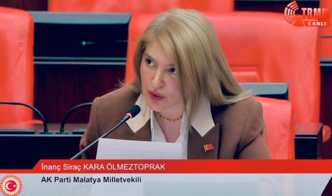 AK Parti Malatya Milletvekili İnanç Siraç Kara Ölmeztoprak, TBMM’de yaptığı