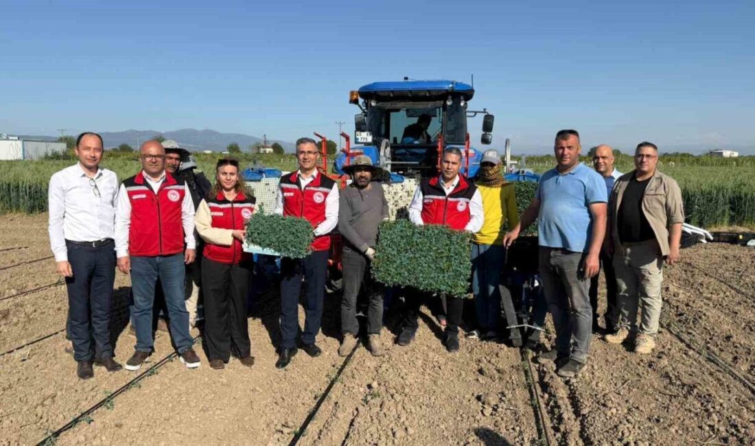 Türkiye’nin önemli bitkisel üretim merkezlerinden biri olan Manisa’da, hava sıcaklıklarının
