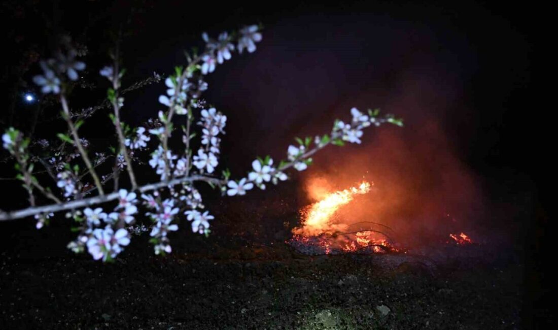 MANİSA (İHA) – Manisa’nın Demirci ilçesinde hava sıcaklıklarının eksi 3