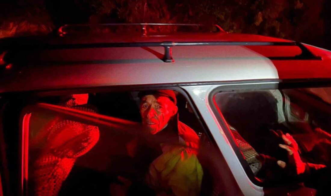 Muğla’nın Yatağan ilçesine bağlı Yeniköy Mahallesi’nde mantar toplamak için gittiği