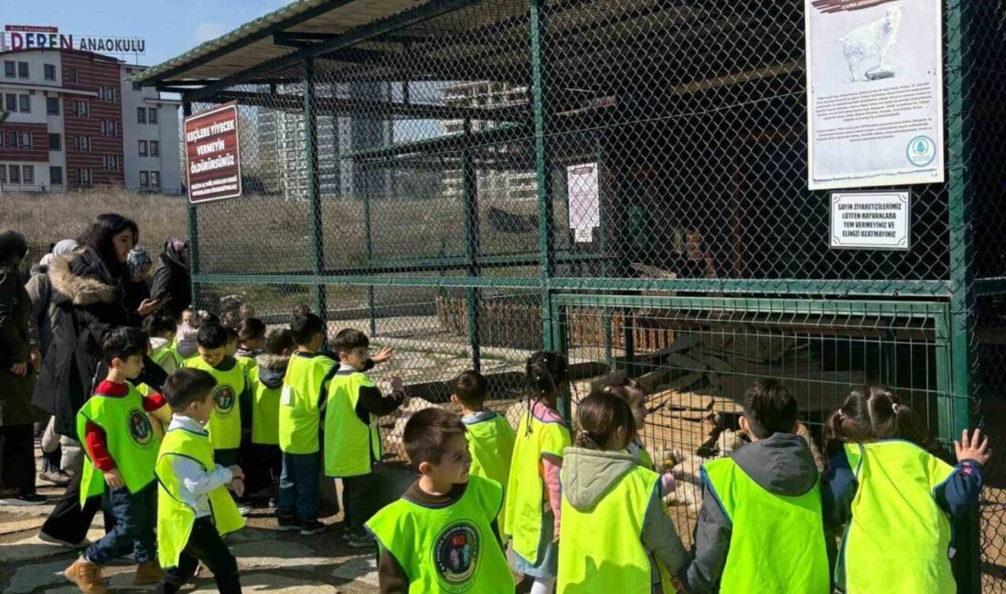 Ankara’nın doğal ve kültürel zenginliklerini bir arada barındıran Endemik Vadi’de