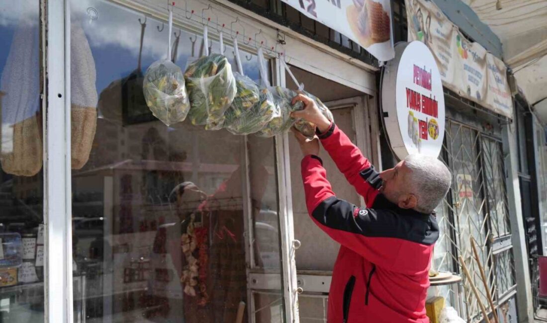 Baharın gelişiyle tezgâhlarda yerini alan çiriş otu, Muş’ta başlatılan “askıda”