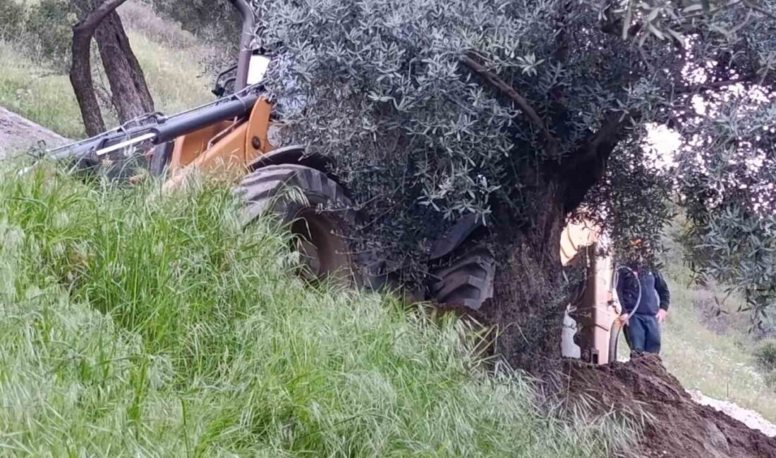 Aydın’ın Nazilli ilçesinde iddiaya göre kaçak kazı yapıldığı sırada göçük