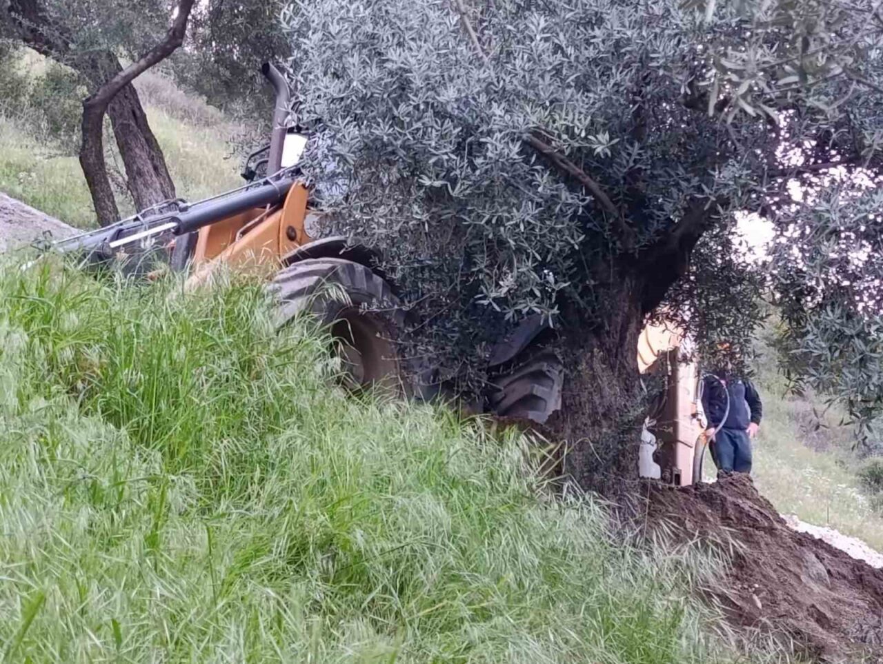 Aydın’ın Nazilli ilçesinde iddiaya göre kaçak kazı yapıldığı sırada göçük