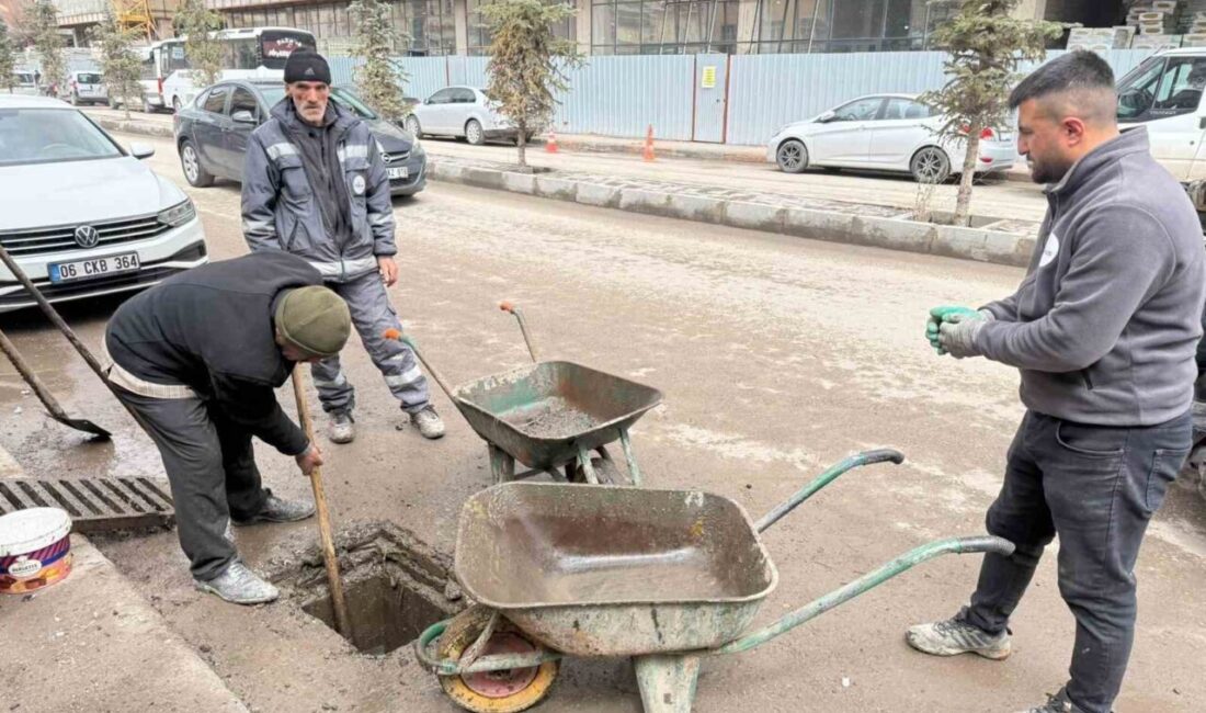 Patnos Belediyesi, ilçe genelinde daha temiz, sağlıklı ve yaşanabilir bir
