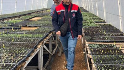 Kırklareli’nin Pınarhisar ilçesinde seralarda salatalık, domates, kıvırcık marul yetiştiren üreticiler