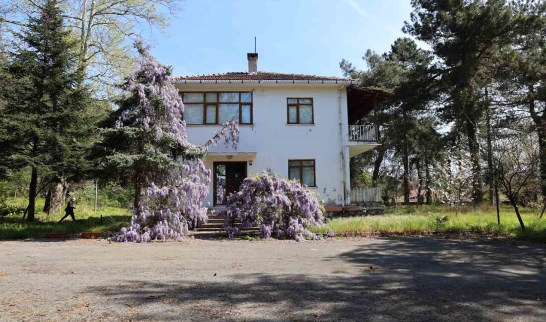 Zonguldak Bülent Ecevit Üniversitesi (BEUN) Rektörü Prof. Dr. İsmail Hakkı