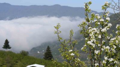 Sakarya’nın Geyve ilçesinin yüksek kesimlerinde baharın gelişiyle birlikte doğa adeta