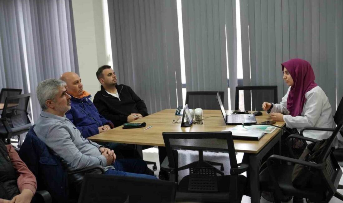 Gürsu Belediyesi Kollektif Kariyer Merkezi, son yıllarda giderek popülerleşen ve