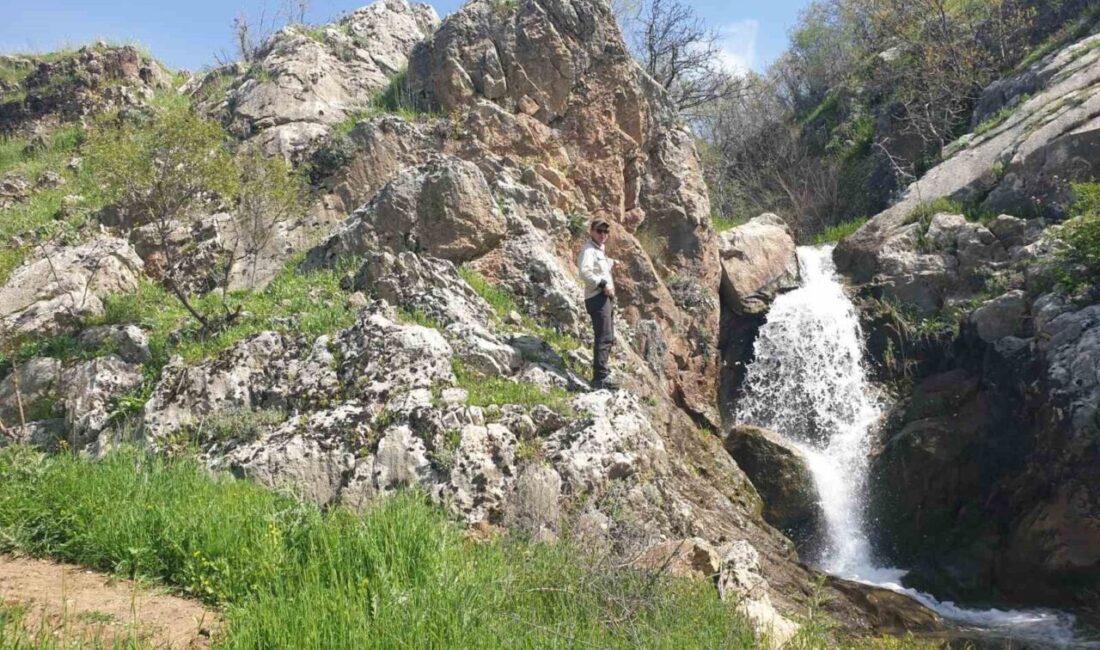 Afet ve Acil Durum Yönetimi Başkanlığı (AFAD) ile Türkiye Bilimsel