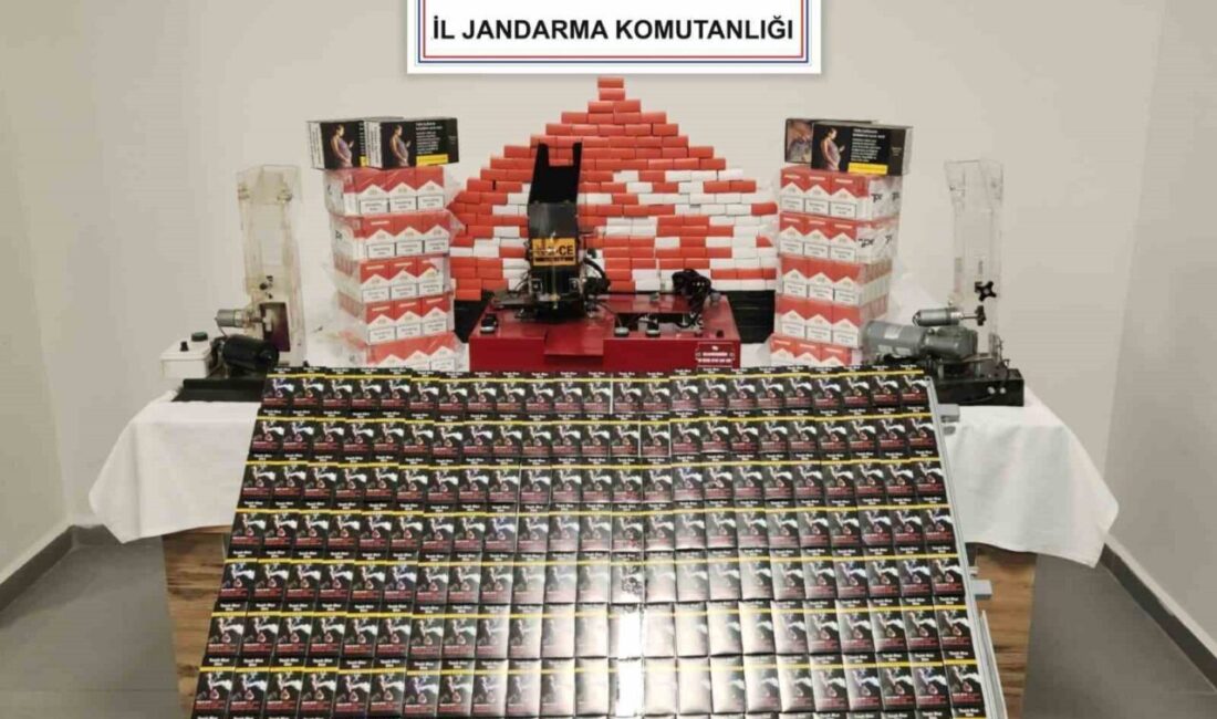 Sinop’un Gerze ilçesinde jandarma ekipleri tarafından düzenlenen operasyonda, çok sayıda