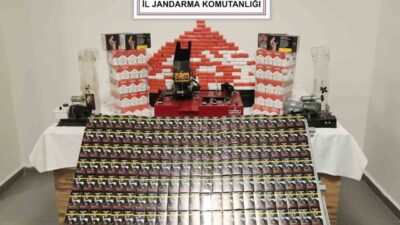 Sinop’un Gerze ilçesinde jandarma ekipleri tarafından düzenlenen operasyonda, çok sayıda