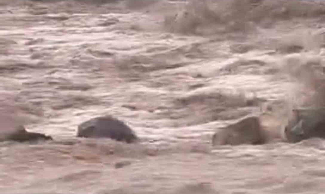 Şanlıurfa’nın Siverek ilçesinde etkili olan sağanak yağış, kısa sürede sele