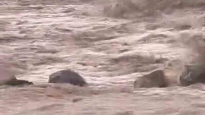 Şanlıurfa’nın Siverek ilçesinde etkili olan sağanak yağış, kısa sürede sele