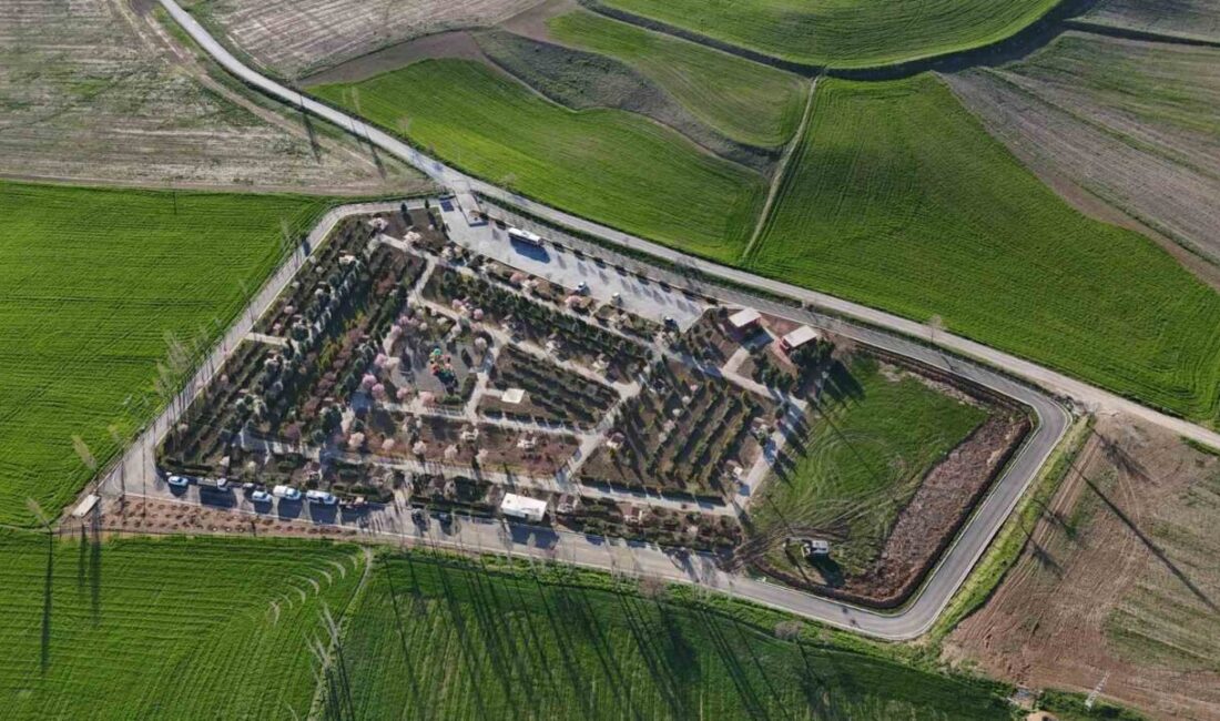 Sungurlu Belediyesi Çocuk ve Genç Meclisi üyeleri, Belediye Başkanı Muhsin