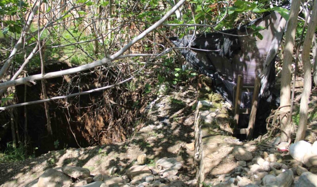 Aydın’ın Efeler ilçesinde bulunan tarihi konağın bahçe duvarının yıkılmasıyla bahçede