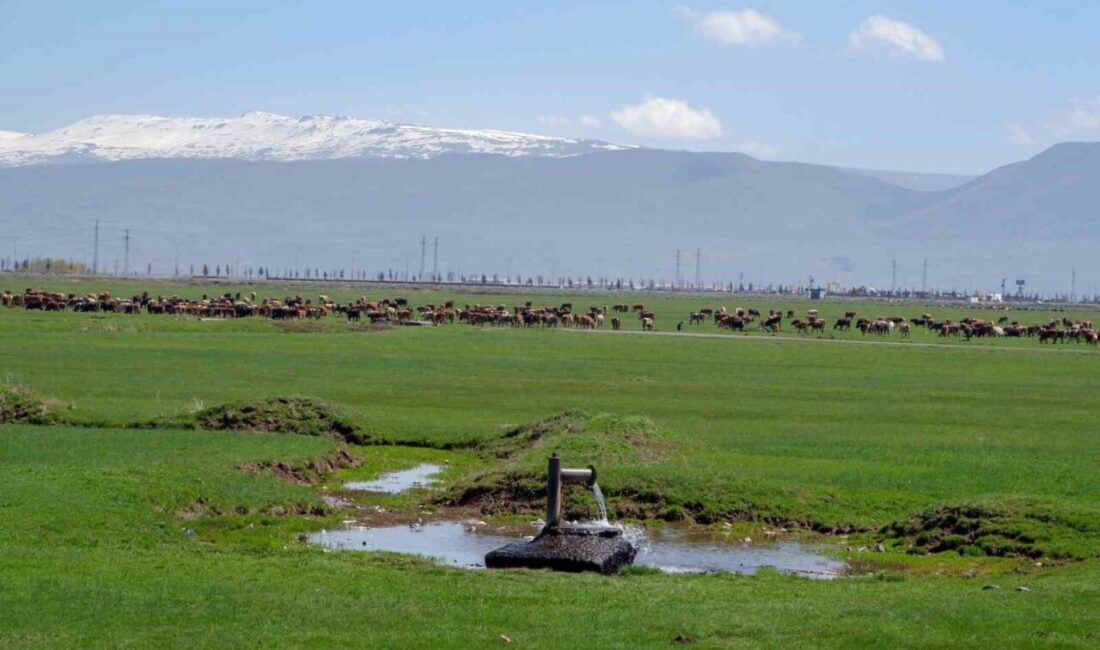 Vildan Sürbehan ve Nuray Demir tarafından “İklim değişikliği etkisi ile