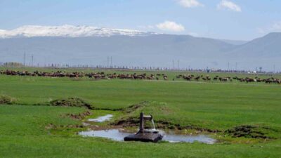 Vildan Sürbehan ve Nuray Demir tarafından “İklim değişikliği etkisi ile