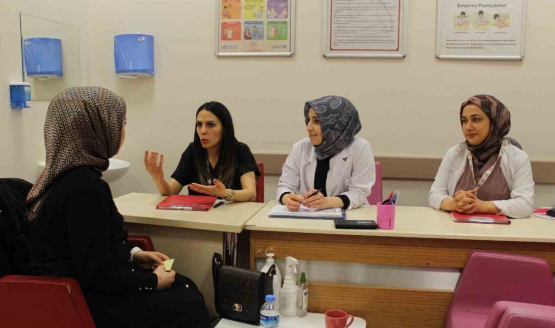 Bitlis’te Tatvan Devlet Hastanesi Gebe Okulu’nda yürütülen eğitim programlarıyla anne