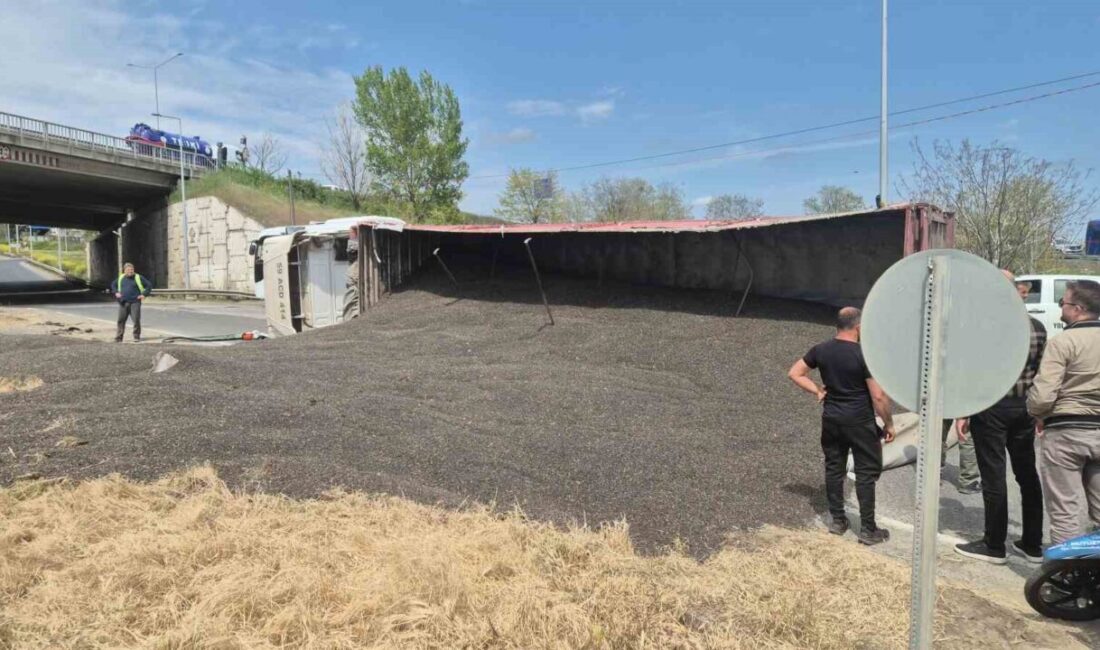 Tekirdağ’ın Süleymanpaşa ilçesinde ayçiçeği çekirdeği yüklü tırın devrilmesi sonucu tonlarca