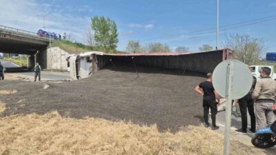 Tekirdağ’ın Süleymanpaşa ilçesinde ayçiçeği çekirdeği yüklü tırın devrilmesi sonucu tonlarca