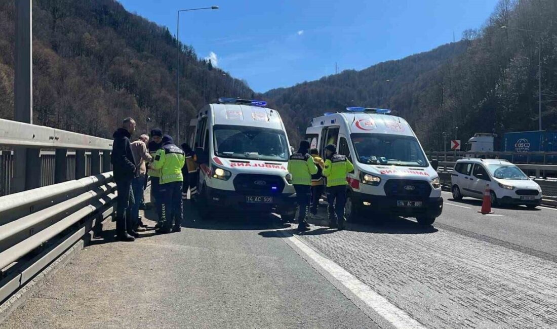 TEM Otoyolu’nun Bolu geçişinde tır, kamyon, hafif ticari araç ve