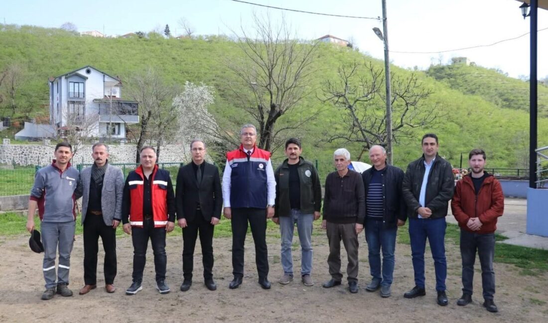 Samsun’un Terme ilçesinde oluşturulan teraslı fındık bahçelerinde hem verim hem