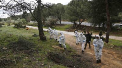 Muğla’da orman varlığını tehdit eden zararlılara karşı yürütülen mücadelede, Orman