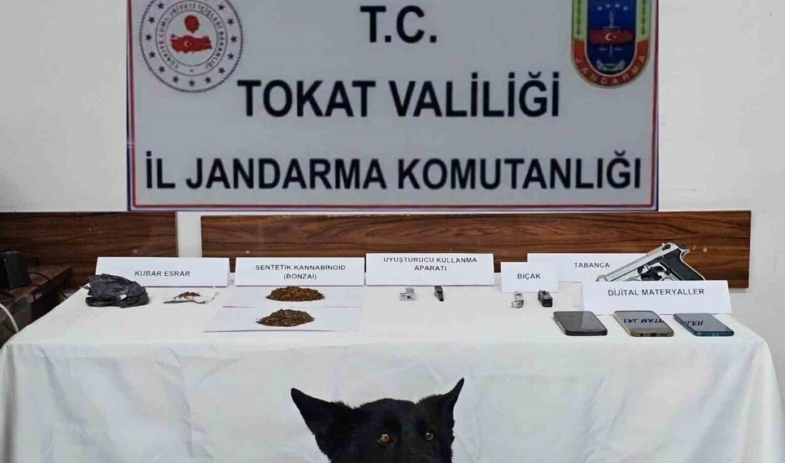 Tokat’ın Reşadiye ilçesinde jandarma ekiplerince düzenlenen uyuşturucu operasyonunda 5 şüpheli