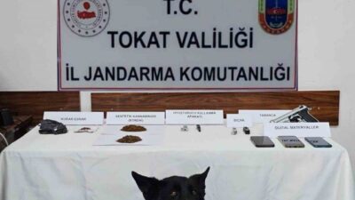 Tokat’ın Reşadiye ilçesinde jandarma ekiplerince düzenlenen uyuşturucu operasyonunda 5 şüpheli