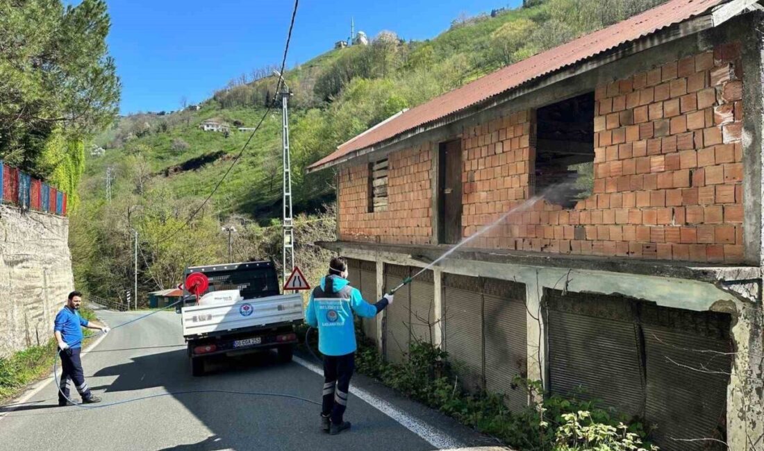 Trabzon’da Büyükşehir Belediyesi, Trabzon İl Tarım ve Orman Müdürlüğü koordinesinde