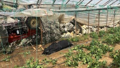 Antalya’nın Alanya ilçesinde kontrolden çıkan traktör, yol kenarındaki seraya devrildi.