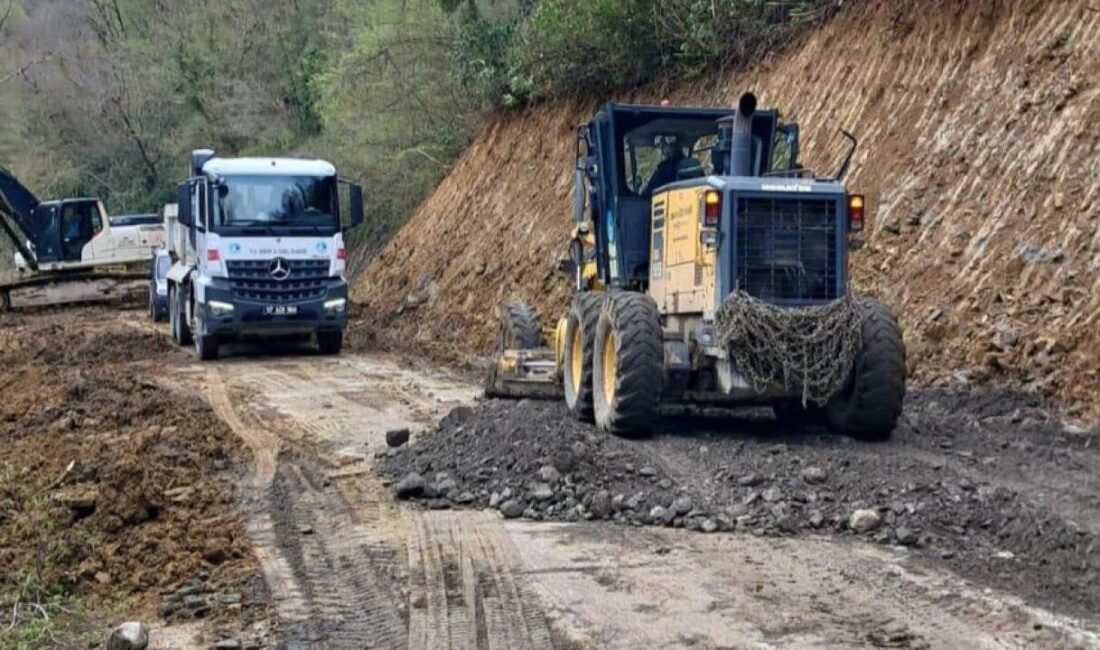 Sinop’un Türkeli ilçesine bağlı Taşgüney Köyü yolunda meydana gelen heyelan