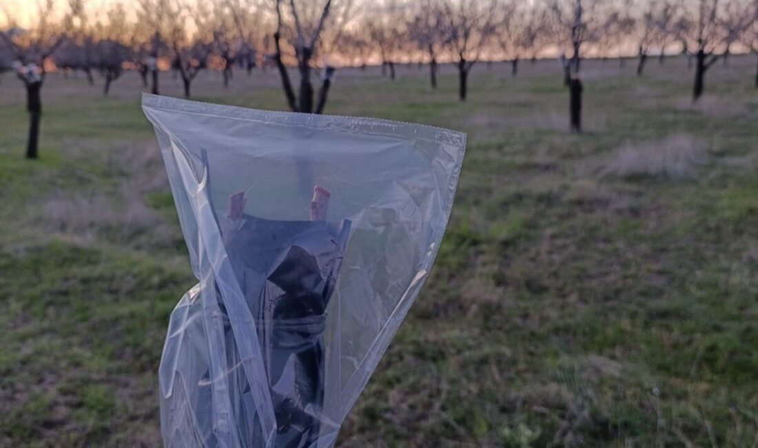 Uşak İl Tarım ve Orman Müdürlüğü, zirai don riskine karşı