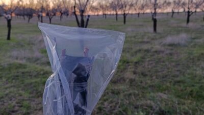 Uşak İl Tarım ve Orman Müdürlüğü, zirai don riskine karşı