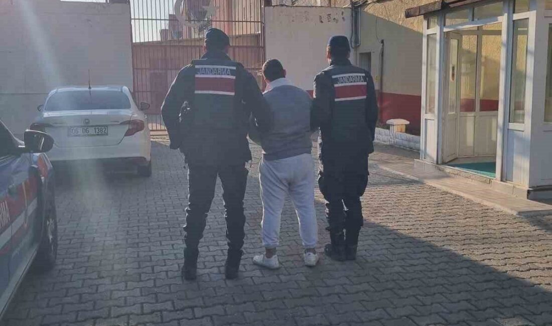 Aydın’ın Germencik ilçesinde uyuşturucu suçundan hapis cezasıyla aranan şahıs, jandarma