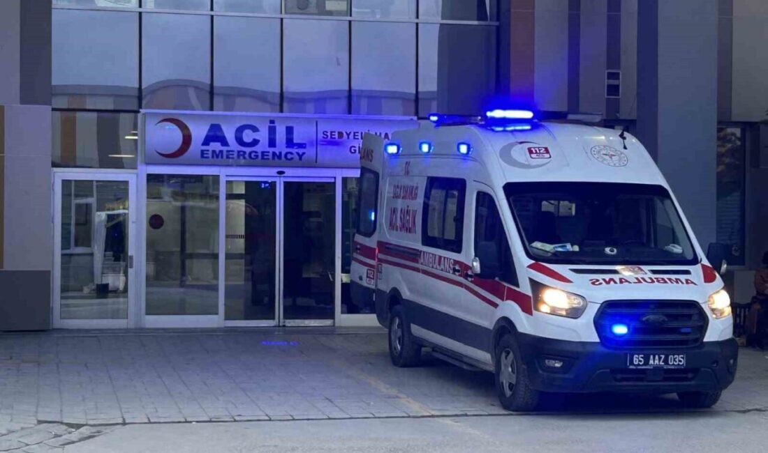 Van’ın Saray ilçesinde evlerinin önünde oyun oynarken sahipsiz sokak köpeklerinin