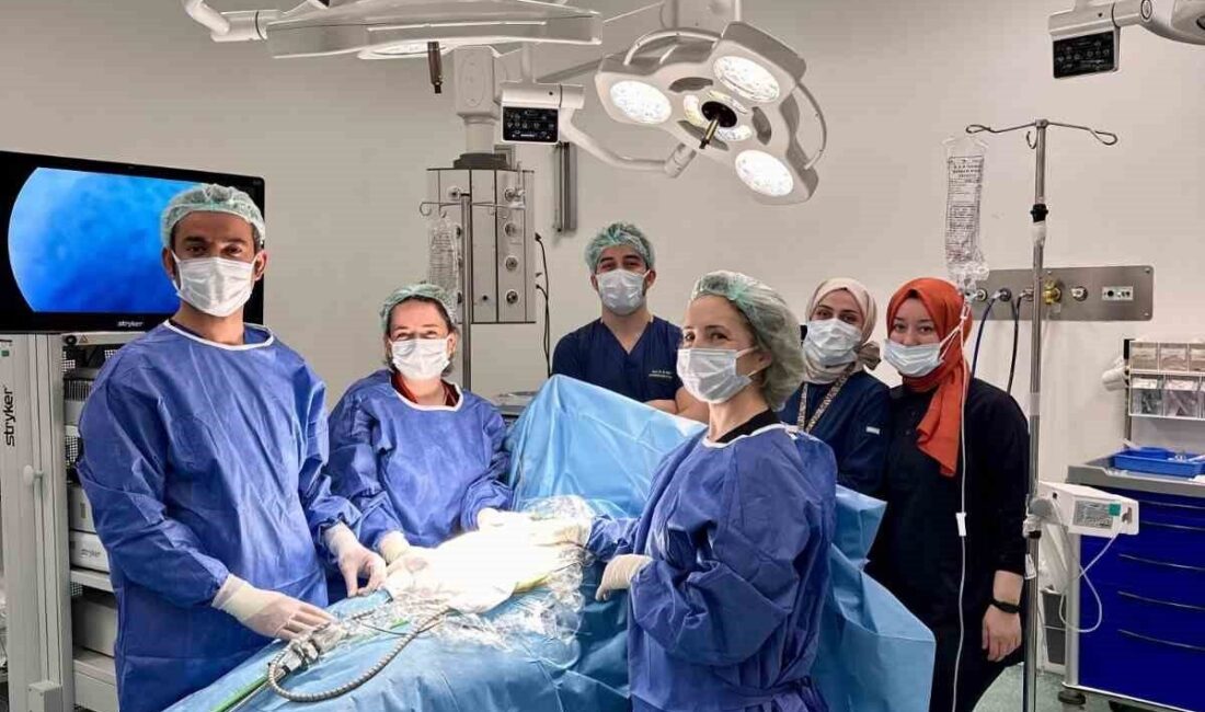 Yalova’da ilk kez kapalı (laparoskopik) safra kesesi ameliyatı uyanık anestezi
