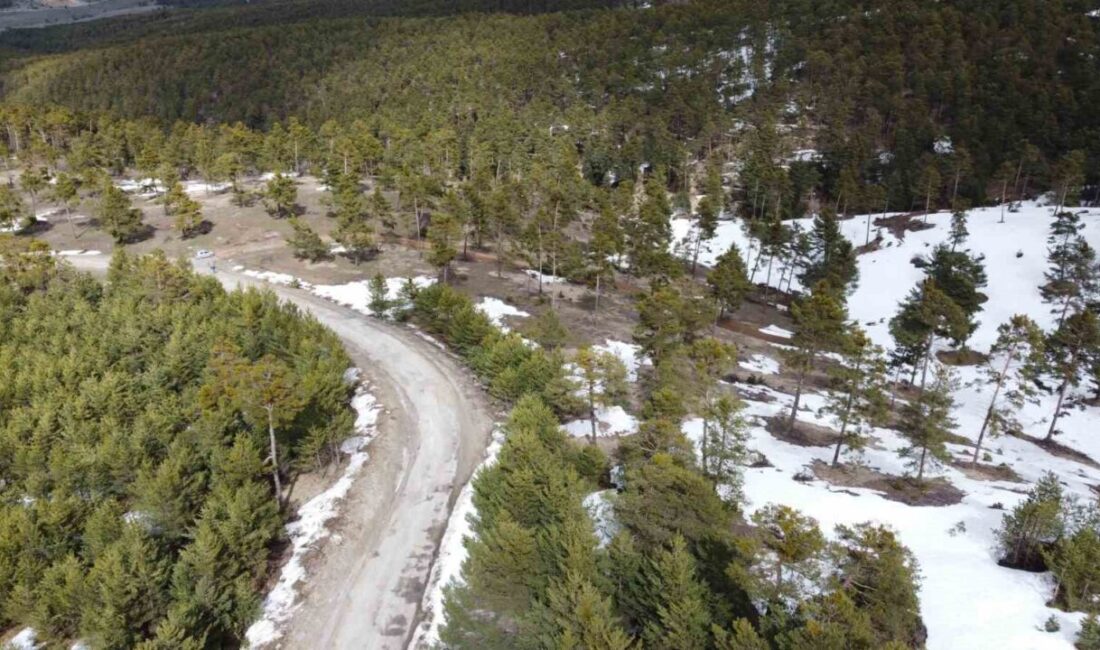 Yozgat’ın Akdağmadeni ile Çayıralan ilçeleri arasındaki yüksek rakımlı dağlarda baharın