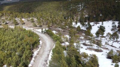 Yozgat’ın Akdağmadeni ile Çayıralan ilçeleri arasındaki yüksek rakımlı dağlarda baharın