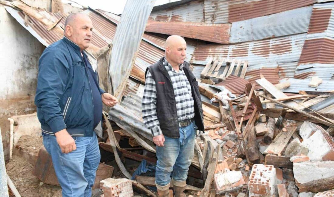 Yozgat’ta etkili olan yağmur sonrası çatısı çöken ahırdaki büyükbaş hayvanlar