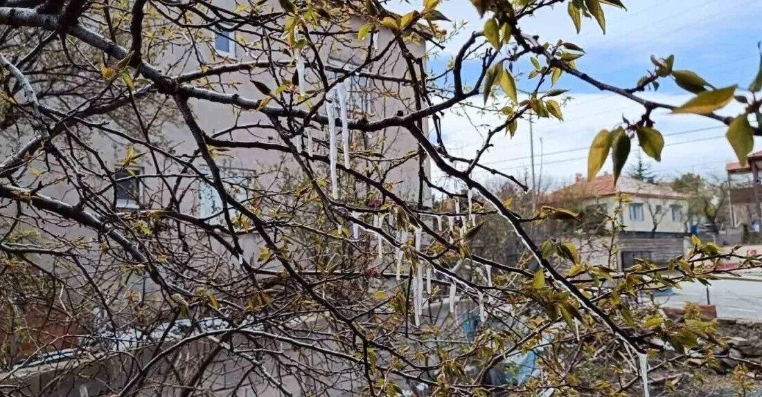 Yozgat’ta muhtemel zirai don riskine karşı vatandaşlar uyarıldı. Hava sıcaklıklarının