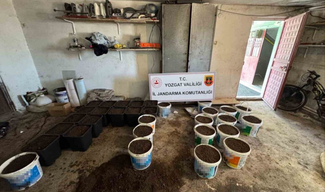 Yozgat’ta düzenlenen uyuşturucu operasyonunda uyuşturucu yetiştirme malzemeleri ele geçirildi. İl