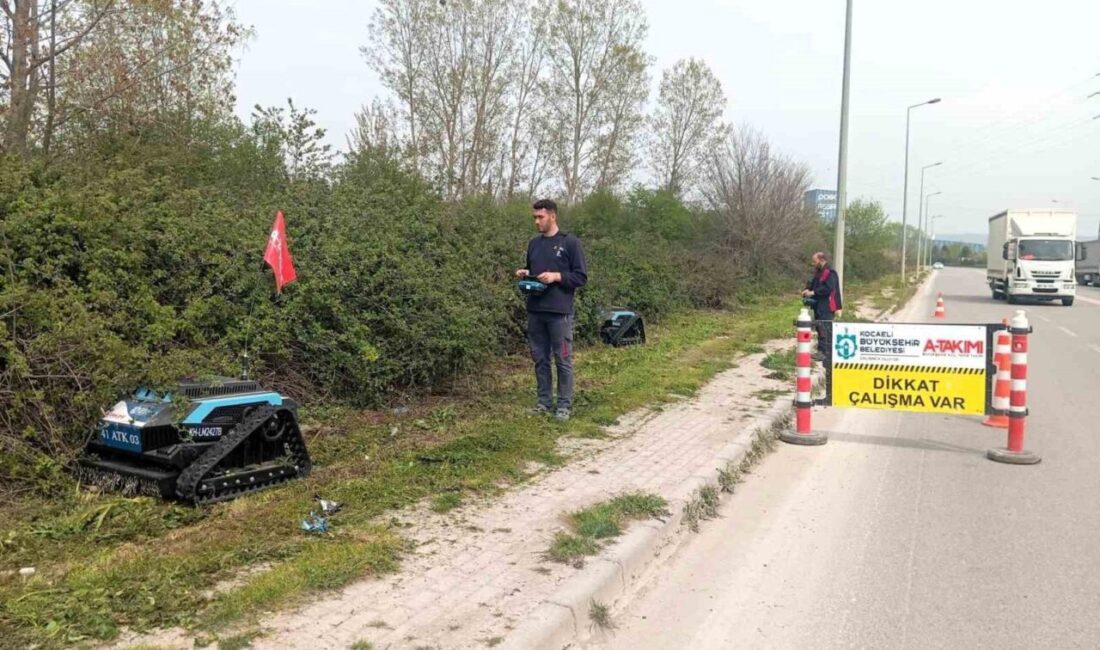 Kocaeli’de sürücülerin görüş açısını daraltan ve görüntü kirliliği oluşturan yabani