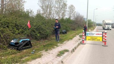 Kocaeli’de sürücülerin görüş açısını daraltan ve görüntü kirliliği oluşturan yabani