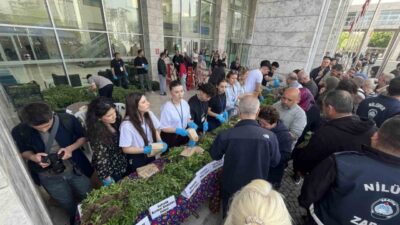 Nilüfer Belediyesi ve Nilüfer Tarımsal Kalkınma Kooperatifi (NİLKOOP) iş birliğiyle